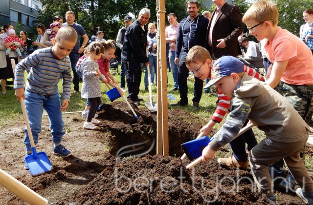 Életfát ültettünk 22